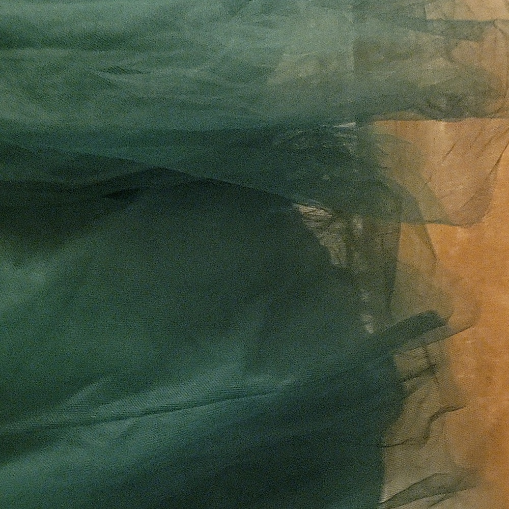 Elegant Green Tulle Skirt - Picture 7 of 7